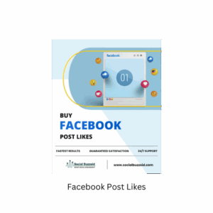 Facebook Post Likes [Refill: No]  [Speed: 500/day] [Start Time: 0-3 hours]