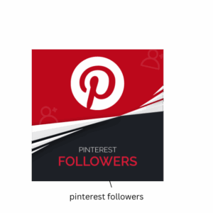 Pinterest Followers [Refill: Life Time] [drop ; No]  [Speed: 200/Day][Start Time: 12 Hours]