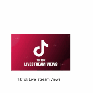 TikTok Live  stream Views [Refill ;No]   [ 60 Minutes ] [Streaming Time: Instant] [Start ;Instant]
