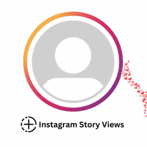 Instagram Story Views