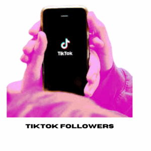 TikTok Followers [ Drop :NA ] [Refill: 30 days  ] [Speed: 300/Day] [Start Time: 1 Hour]