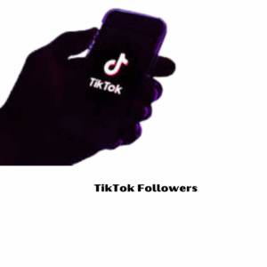 TikTok Followers [ Drop :NA ] [Refill: No ] [Speed: 100/Day] [Start Time: 1 Hour]