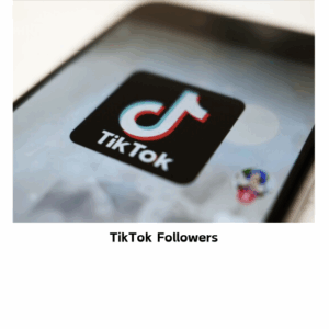 TikTok Followers [ Drop :NA ] [Refill: No ] [Speed: 300/Day] [Start Time: 1 Hour]
