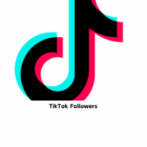 TikTok Followers [ Drop :NA ] [Refill: No ] [Speed: 300/Day] [Start Time: 1 Hour]