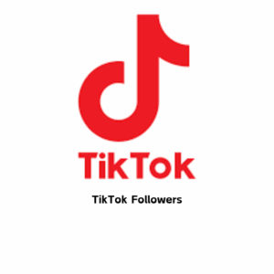 TikTok Followers [ Drop :NA ] [Refill: No ] [Speed: 300/Day] [Start Time: 1 Hour]