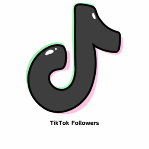 TikTok Followers [ Drop :NA ] [Refill: No ] [Speed: 300/Day] [Start Time: 1 Hour]