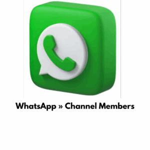 WhatsApp » Channel Members  [ Non Drop] Refill -30 Days [Speed: 500/Day] [Start Time: 0-2 hour]