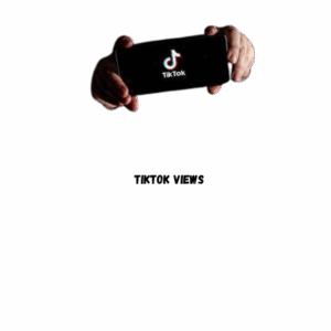 TikTok Views [ Drop- No ]  [Refill: Lifetime ][Speed: 15M/Day] [Start Time: 0-1 Hour]