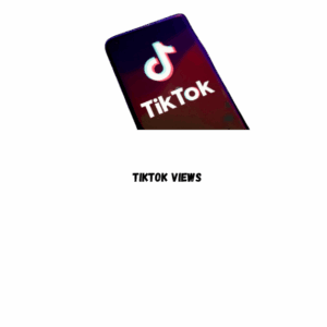 TikTok Views [Speed: 100M/Day] [Refill: Life time] [ Non Drop] [ Start  Time  0-1 hours Max]