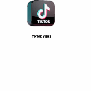 TikTok Views [Speed: 100M/Day] [Refill: Life time] [ Non Drop] [ Start  Time  0-1 hours Max]