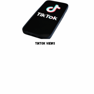 TikTok Followers [Refill: 30 Days] [drop - New ] [Start Time: 0 - 2 Hour]