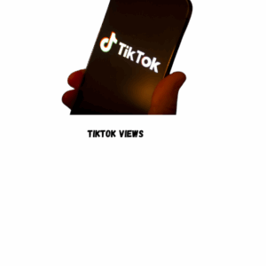 TikTok monitizable Followers [ Drop :NA ] [Refill: 30 Days ] [Speed: 100/Day] [Start Time: 1 Hour]